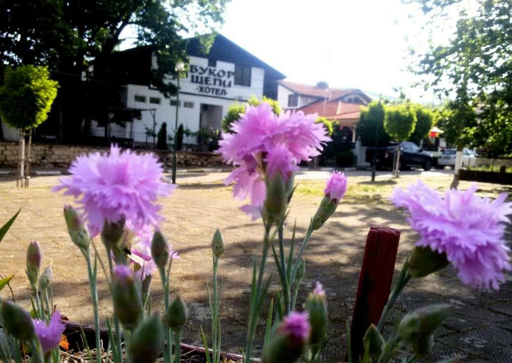 Guest House Bukor Shtepi Mandrica Zewnętrze zdjęcie